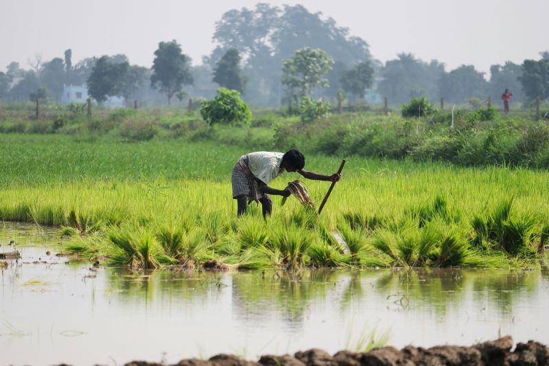  Agroecological Transformations