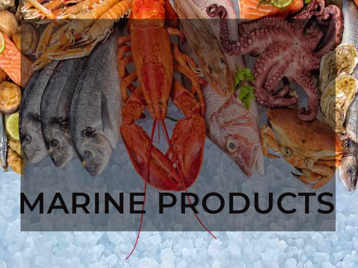 Marine Products exports in India post a 35 growth to USD 6.1 bn in 2021